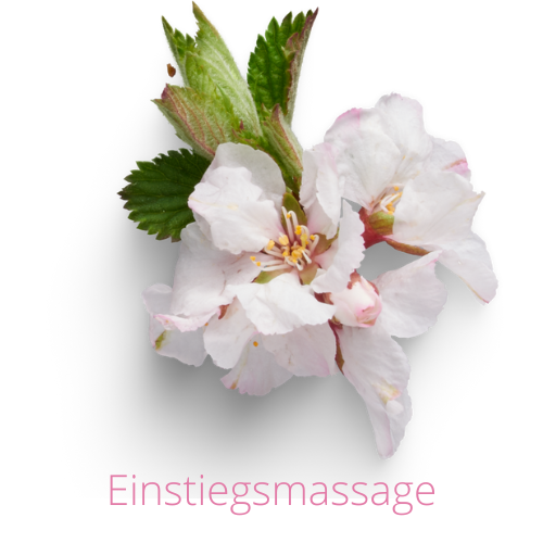 Entspannungsmassage-Zuerich